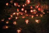 The Great Jack O'Lantern Blaze - Mushrooms