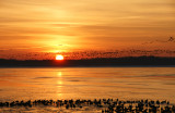 Sunrise at the Reservoir