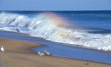 Rainbow wave