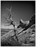 Mesa Verde