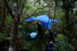Hanawi NAR Camp 1
