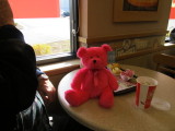 PINK BEAR HAD ALL THE ATTENTION