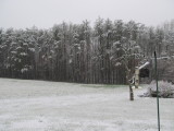 SURPRISE MARCH SNOW - EMPTY BIRD FEEDERS