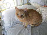  You woke me up, 