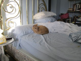 Time to get up?