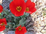 IMG_0368.JPG