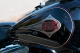 The Harley Davidson