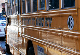 Williamsburg: A School Bus