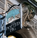 The Potted Pig