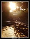 Way to Gold<br>by Awais Yaqub