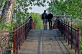 Together At Olbrich Gardens