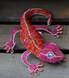 Pink Gecko