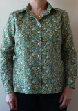 Style Arc: Jenny Shirt