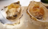 Slime Nuggets / Terrapin Creek Cafe