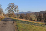 The Deer Park, Eastnor Castle Estate.