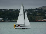 Yacht 4
