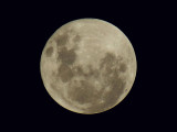 Super Moon