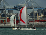 Yachts 6