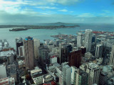 Auckland North East
