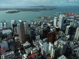 Auckland North East 3