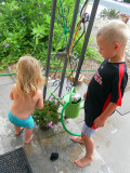 The kids automatic plant-watering system