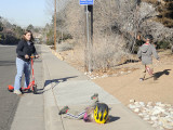 Sidewalk faceplant! She is fine; good thing she was wearing a helmet!