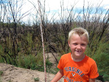 Burned section of the Bosque