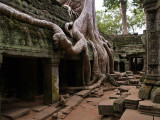 Ta Prohm - Geophoto