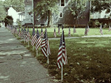 Memorial Day Flags - Brad