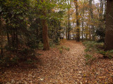 Covered path - Geophoto