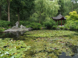 A peaceful, Chinese garden - Geophoto