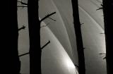 parallels by gmc