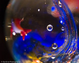 bubbles_in_bubbles - redux-Tom