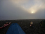 tomales24.jpg