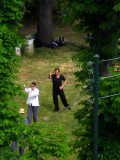 Qi gong on a sunny Sunday morning