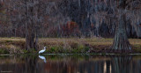 LakeMartin_101220_48-1.jpg