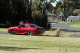 IMG_1076.jpg