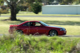 IMG_1084.jpg