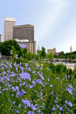 Providence City Skyline from Providence River