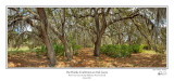 Florida Trail Enters Oak Grove.jpg