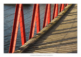 playing bridge