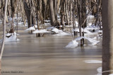 Fonte des neiges