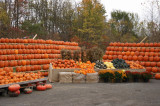 Une Joyeuse Halloween