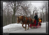 Montral. Promenade sur le Mont-Royal.