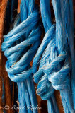 Blue Ropes