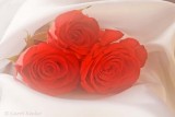 Beautiful Bouquet