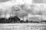 Barn in Mono