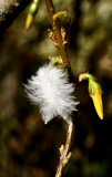More signs of Spring