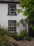 Cottage Garden Carlingford