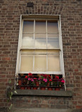 The Artists Window